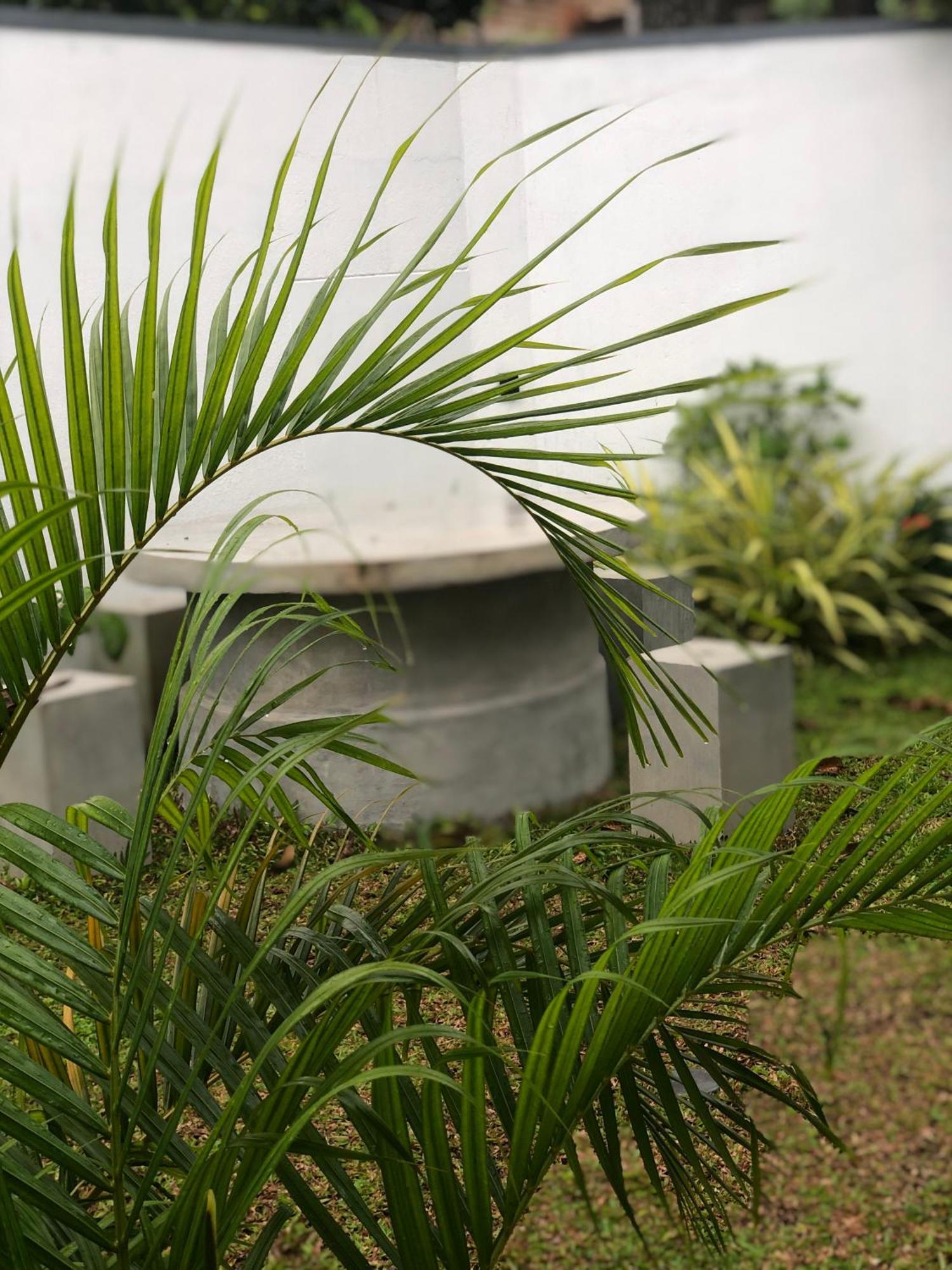 Luvi'S Villa Galle Exterior photo